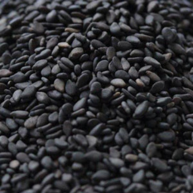Supply of Sesame Seeds
